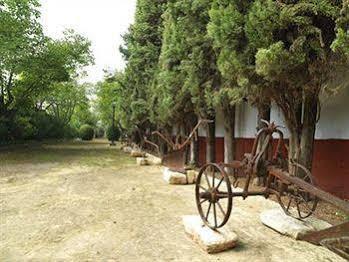 Hacienda La Vereda Montilla Exterior foto